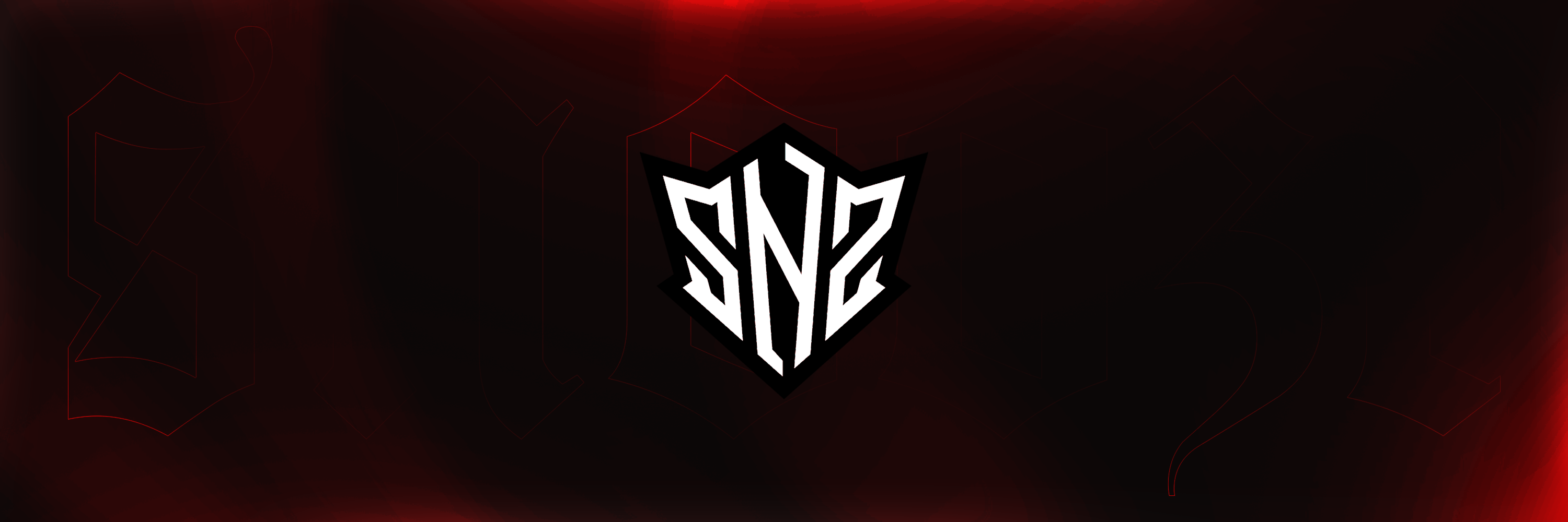 Snooze Esports Banner